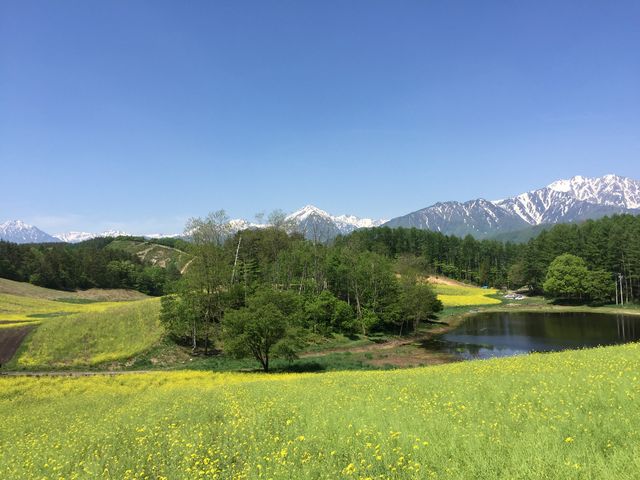右の池奥にあるのが美麻珈琲。_美麻珈琲