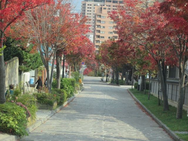 ナナカマドが赤く染まってます_大三坂