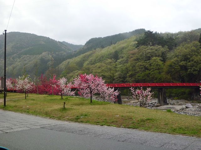 花桃の里。_昼神温泉郷