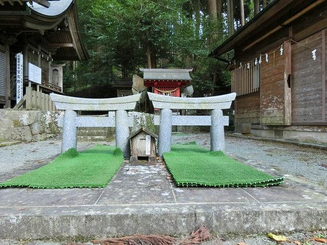 ちっちゃな鳥居です_坂本善三美術館