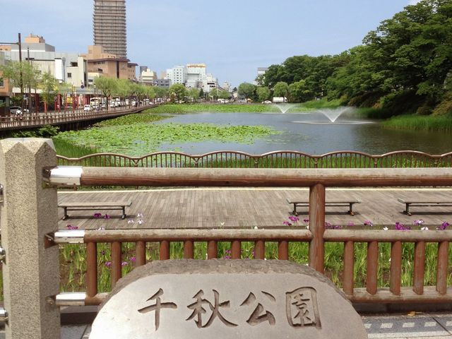 お堀のスポット_千秋公園