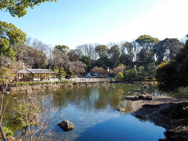 園内_戸越公園