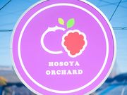 かつしか5525さんのブルーベリー観光農園(細谷農園)の投稿写真1