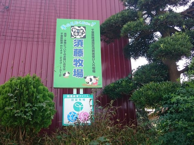 須藤牧場_CowBoy