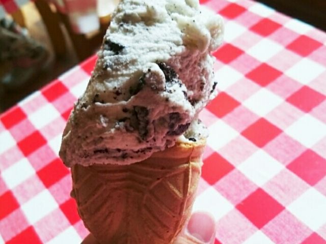 チョコチップ_ウエモンズ ハート