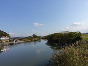 あんずさんの近江八幡の水郷風景の投稿写真1