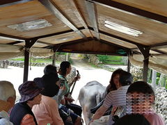 marimariさんの水牛車観光への投稿写真1