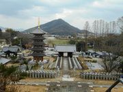 さくさんの法然寺の投稿写真1