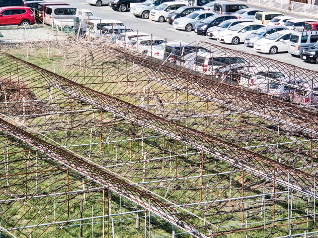あいかわ5525さんの富士ぶどう園の投稿写真3
