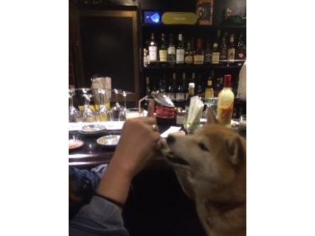 会長たまのちゃんのおやつタイム_ストラス