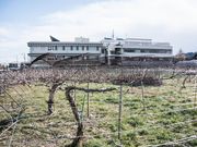 あいかわ5525さんの富士ぶどう園の投稿写真2