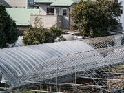 あいかわ5525さんの富士ぶどう園の投稿写真4