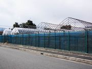 あいかわ5525さんの富士ぶどう園の投稿写真5