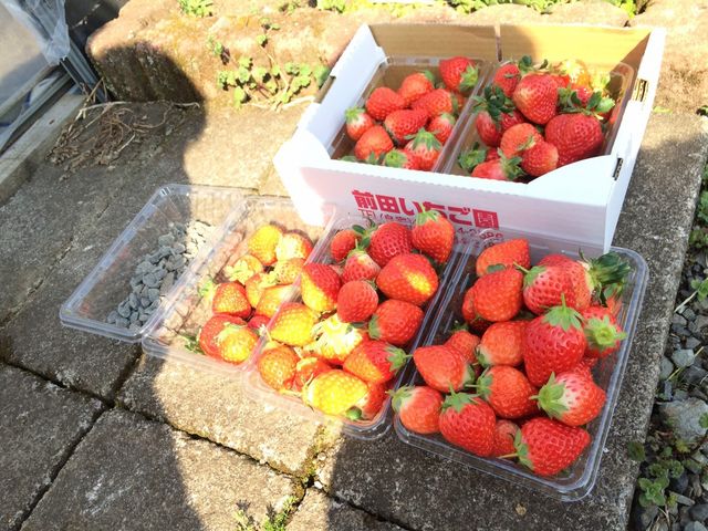 お土産に_前田いちご園