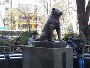 キヨさんの忠犬ハチ公像の投稿写真1
