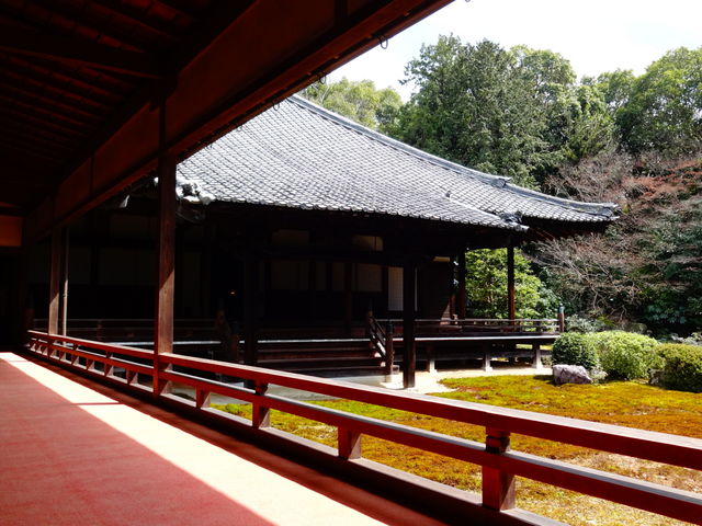 隨心院_隨心院