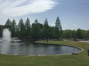 けんちゃんさんの七北田公園の投稿写真1