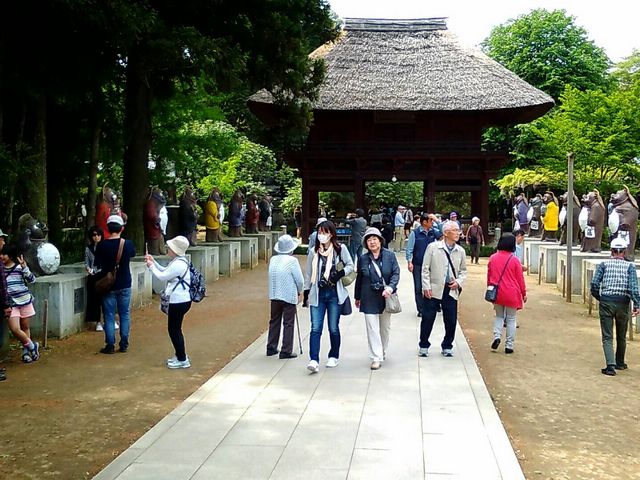 茂林寺