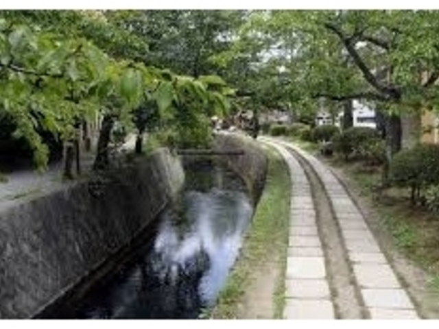 今一つの雰囲気_哲学の道