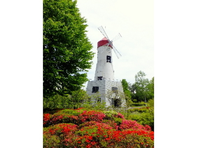 つつじの満開には少し早かったようです。見ごろはやはり5月末でしょうか。_鳩吹公園
