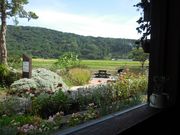 hiroさんの枇杷倶楽部の投稿写真4