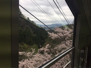とんすけさんの叡山ロープウェイの投稿写真3