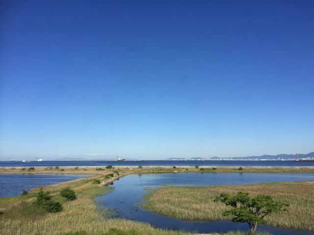 室内から見た風景@_野鳥園臨港緑地