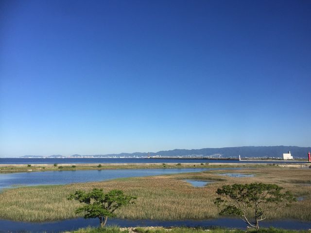 室内から見た風景A_野鳥園臨港緑地