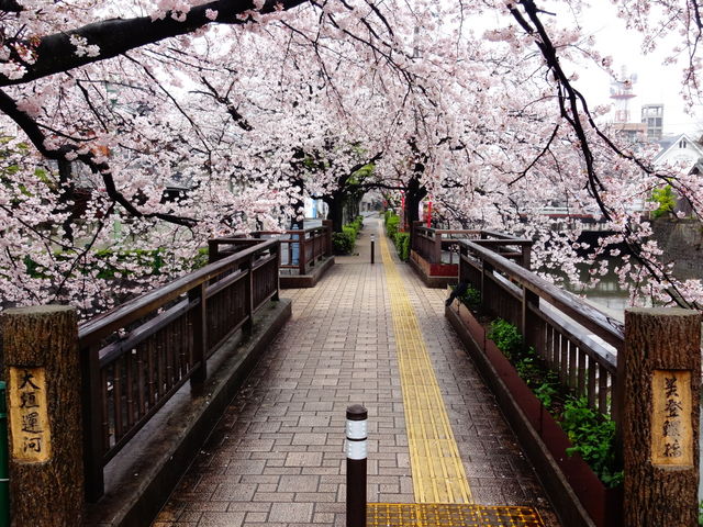四季の広場_四季の広場