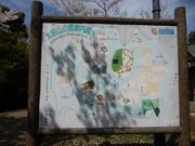 Tonyさんのきみさらずタワーの投稿写真3