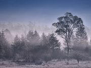 ponさんの戦場ヶ原の投稿写真1