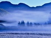 ponさんの戦場ヶ原の投稿写真2