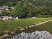 hotaruさんのそぶら貝塚 ほの字の里の投稿写真1