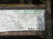 さとけんさんの東海自然歩道(鈴鹿峠コース)の投稿写真5