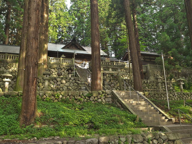 sklfhさんの大州七椙神社の千年杉の投稿写真1