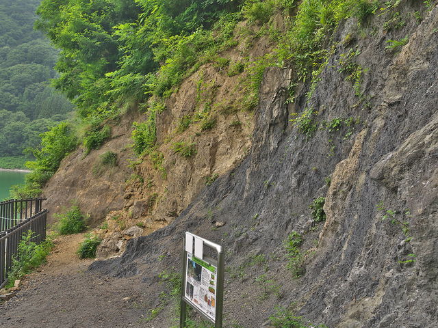 sklfhさんの中央構造線露頭の投稿写真1