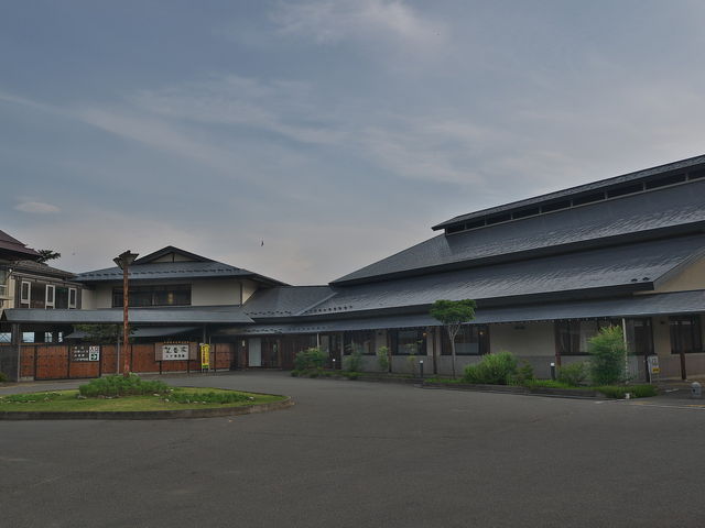 ハチ博物館_ハチ博物館