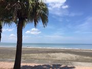 sharkさんの青島の投稿写真1