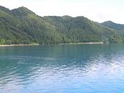 たさんの田沢湖オートキャンプ場「縄文の森たざわこ」の投稿写真1