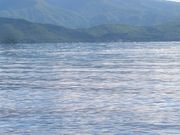 たさんの奥入瀬渓流温泉スキー場の投稿写真1