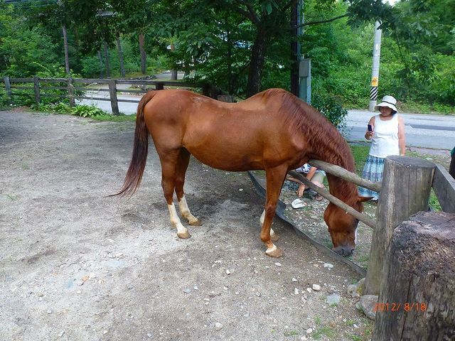 長野県・白馬村・ピザハウスガーリック・5年前に亡くなりました(以前の写真)_ピザハウス ガーリック