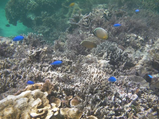 海の中_仲本海岸