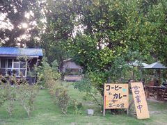 すぎさんの船浮への投稿写真1