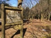 たけさんの石川県樹木公園の投稿写真1