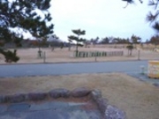 たけさんの松任海浜公園の投稿写真1