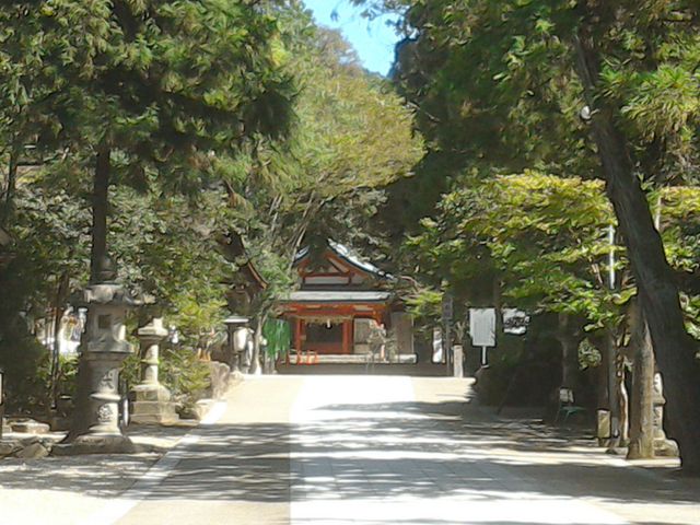 奥へ行くほど心が洗われるような感じがします。_大縣神社(姫ノ宮)