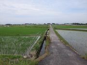 はなちゃんさんの見沼田んぼの投稿写真1