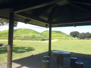 サビ猫さんの青塚古墳史跡公園の投稿写真1