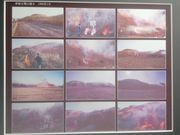 サビ猫さんの青塚古墳史跡公園の投稿写真4