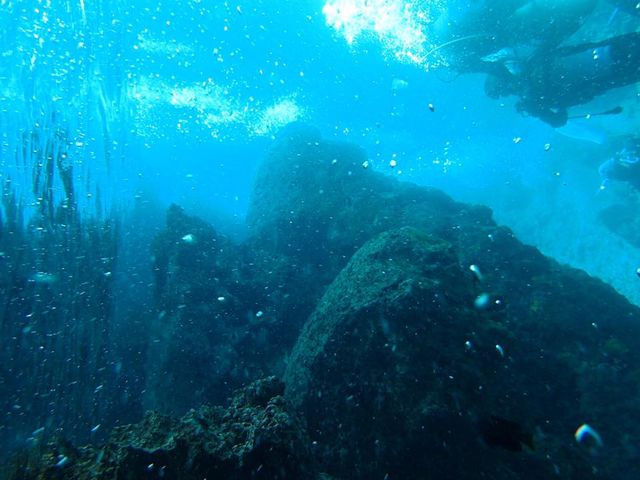 海の中_真栄田岬
